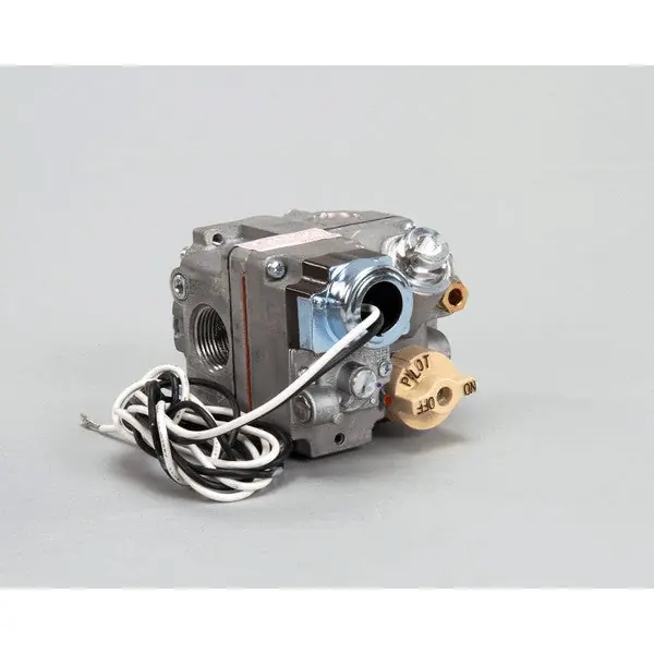 VALVE GAS 3/4 BMSER 120V TPILE Replacement P5045651 for Anets