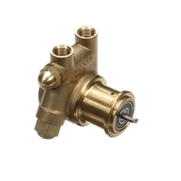 Pump Water BR 100GPH 250PSI Replacement 312996000 for Cornelius