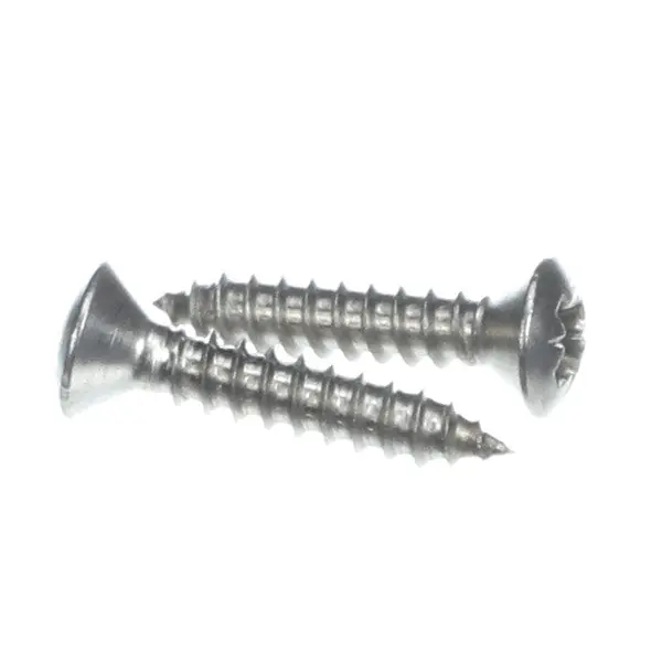 COVER OR HANDLE SCREWS (2) Replacement 079958 for Dynamic Mixer