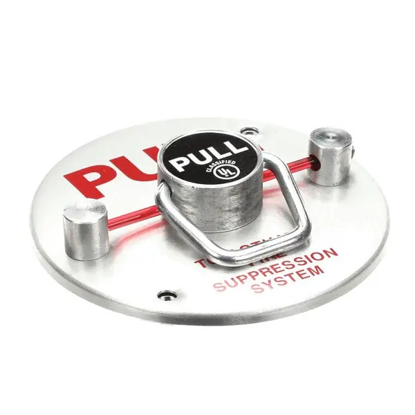 PULL MANUAL Replacement 6GT669 for Perfect Fry
