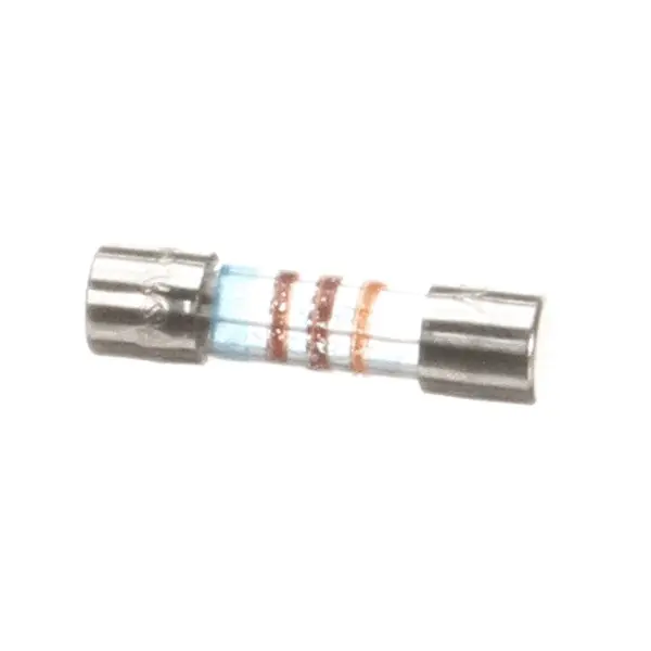 FUSE VETRO T315MA RIT R 0.5X20 Replacement 6060107 for BKI Barbeque King