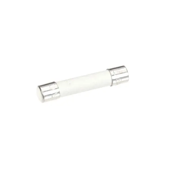 Fuse Time Delay 15A Replacement 4605328 for Garland