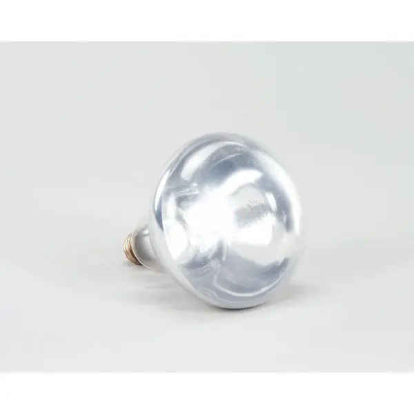 LAMP WHITE 120V 250W Replacement 0820033 for Cres Cor