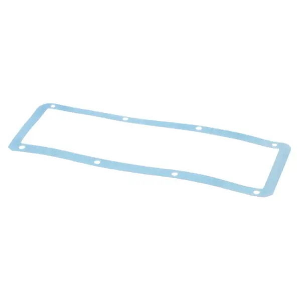 Gasket for Globe Replacement X80J01