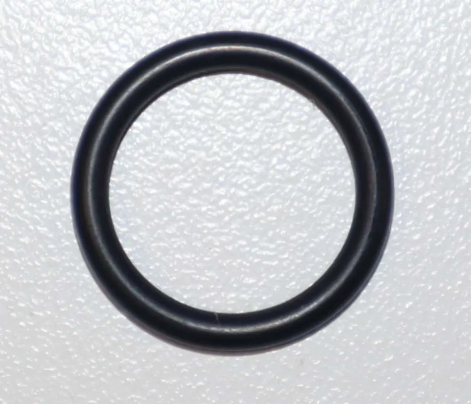 Rinnai M10B-2-16 O-Ring