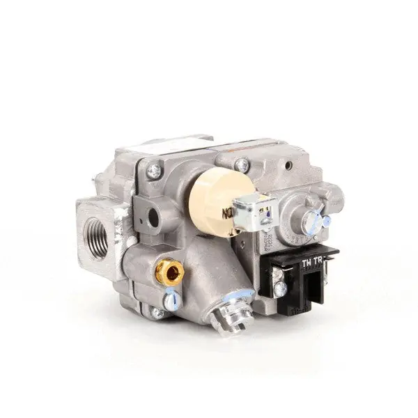 Valve Combination Natural Replacement 00-410841-00030 for Vulcan Hart