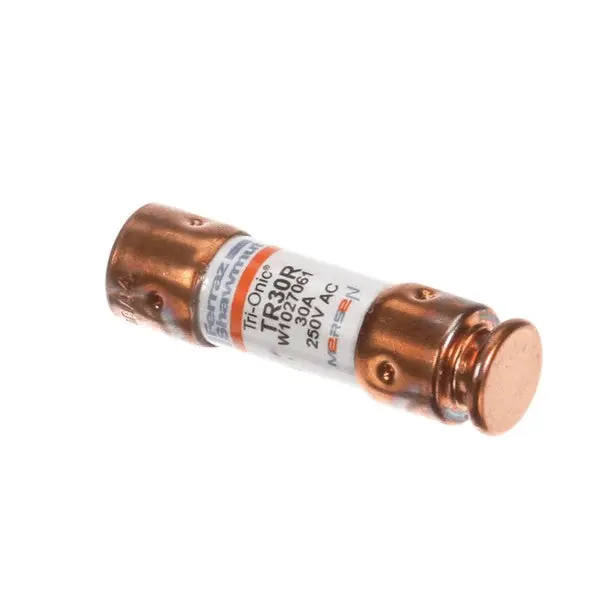 FUSE 30 AMP 250V (M150)-FS Replacement CA36A for Grindmaster