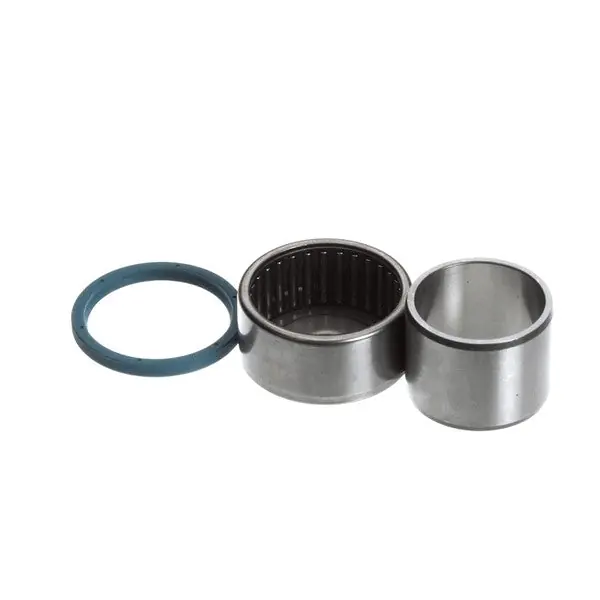 Bearing Needle Replacement R100-101Z for Varimixer