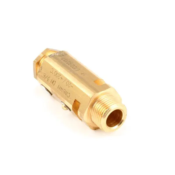 Safety Valve Replacement 10060525 for Rancilio