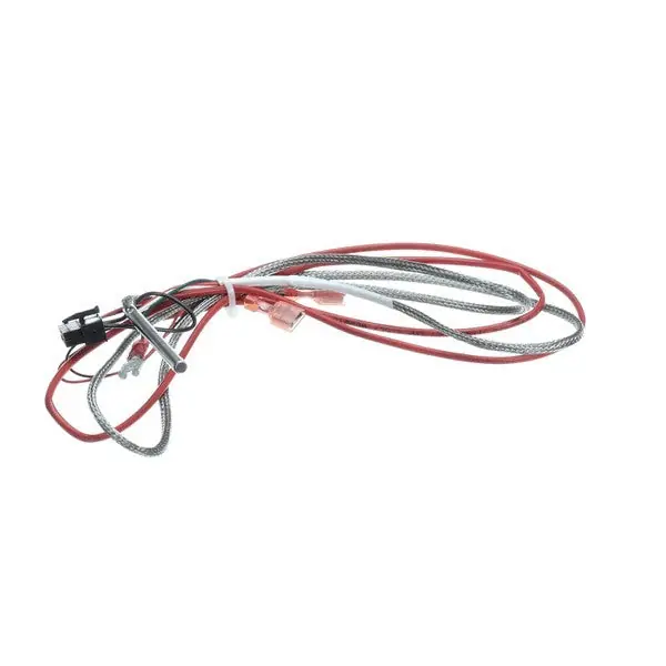 AIS RTD Probe and Harness Replacement 1080656 for Frymaster