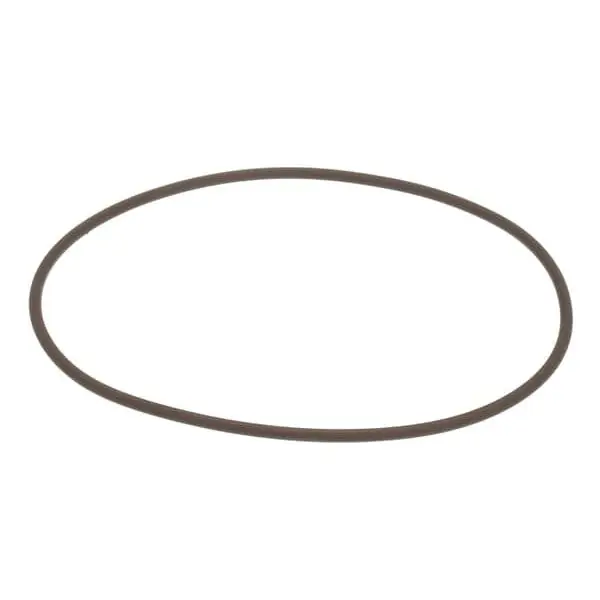 AUX Rinse Pump 38399 Replacement 115231-6 for Champion