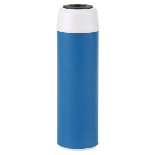 CGT-10S Replacement EV910813 for Everpure