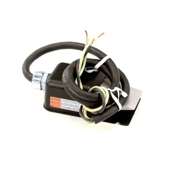 FOOT SWT ASY NEMA4 20A 125/250 Replacement EZ6-0061A for Belshaw