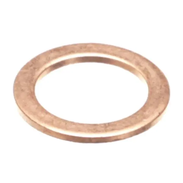 Valve Gasket Brass ESP 220V Replacement A180005-00 for Ugolini USA