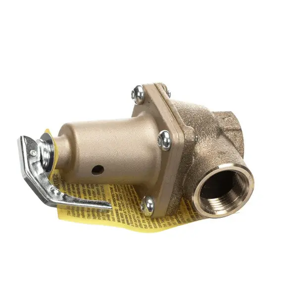 Valve Steam Relief 3/4 Replacement 4820-100-07-06 for Jackson