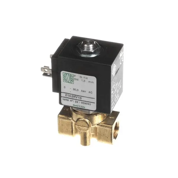 Electrovalve 110V 2 Way Replacement 04100013 for Nuova Simonelli