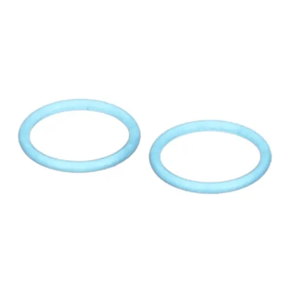 PUMP INJECTION O-RING 2 PACK Replacement 3.4.08.01.040.P2 for Spaceman