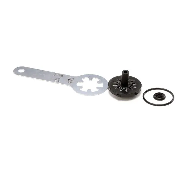 KIT SINGLE NEEDLE SPRAYHEAD AND SEAL Replacement 48755.1001 for Bunn