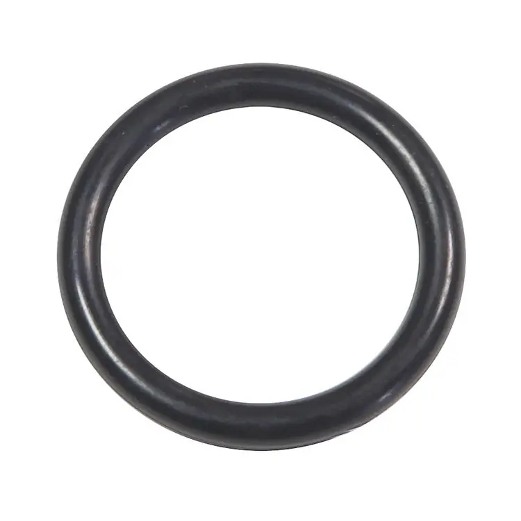 Rinnai M10B-1-24 O-Ring (900)(817) Kt