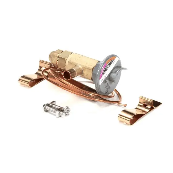 VALVE EXP EFS-1/8-C 2SX3 Replacement 50794911 for Victory
