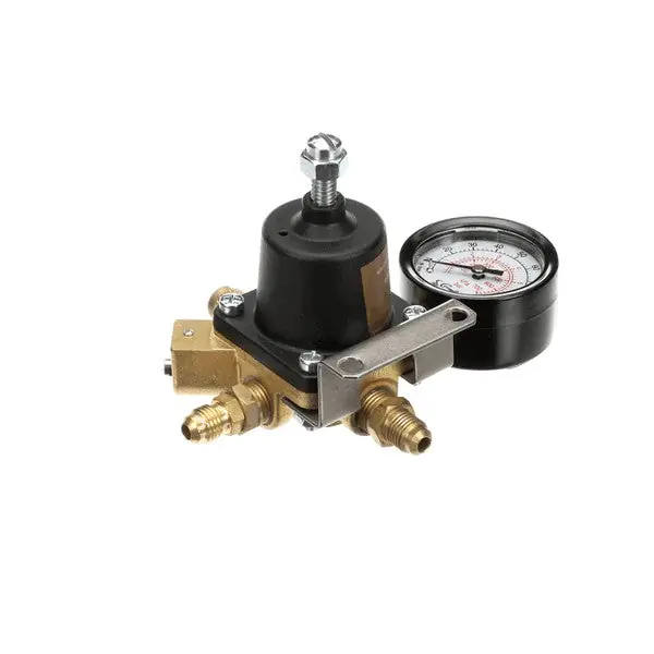 REGCO2 S 1X100 1-1/4FL Replacement 283012111 for Cornelius