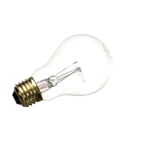 LAMP APPLIANCE 40W 130V Replacement 2S-31603-09 for Lang