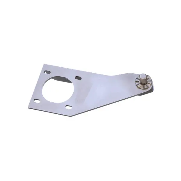 Lower Hinge Assembly Replacement 0C2483 for Electrolux