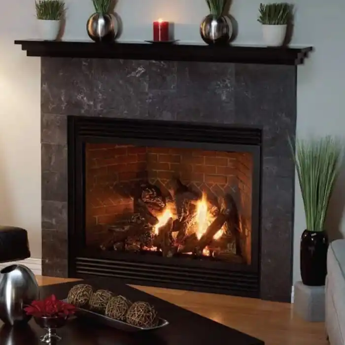 Empire Comfort Systems DVX36FP91LP 36-Inch Direct Vent Fireplace