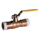 Watts 0555270 3/4 LFFBV-3C-QC Valve
