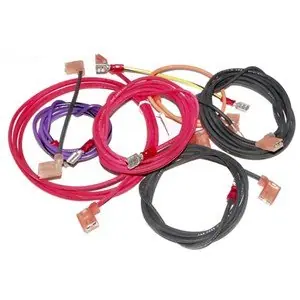 Raypak 010386F Wire Harness Millivolt Units 206-406ST Replacement Kit
