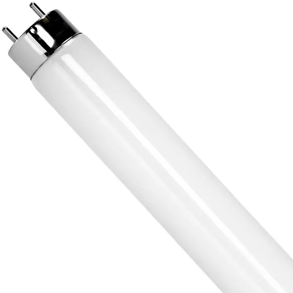 Maxlite L11T8DF440-CG 4ft LED T8 Tube