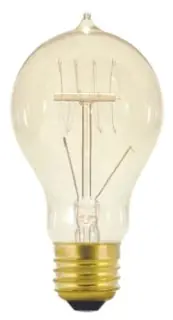 Satco S2412 40 Watt A19 Incandescent Clear