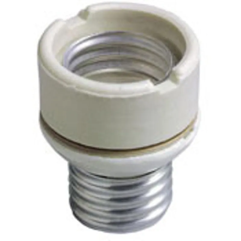 Leviton 2004 Medium-Medium Base Two-Piece Glazed Porcelain Lampholder 250 VAC