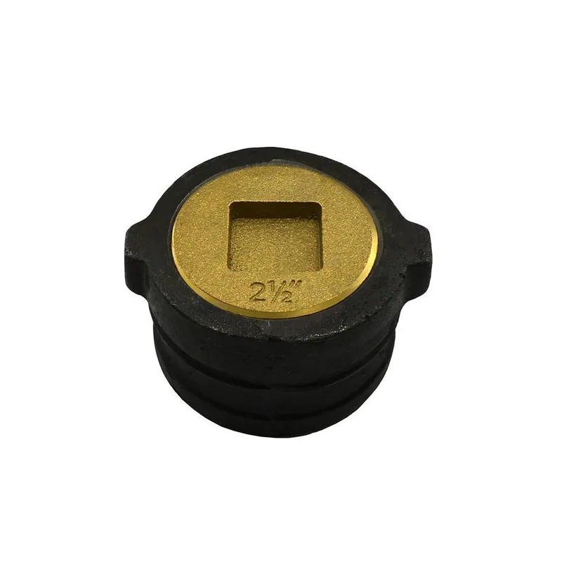 Jones Stephens C39404 4 in. No Hub Cast Iron Cleanout with Plug