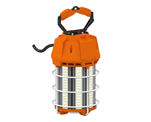 RAB Lighting TEMP-100-850 Lighting Fixture