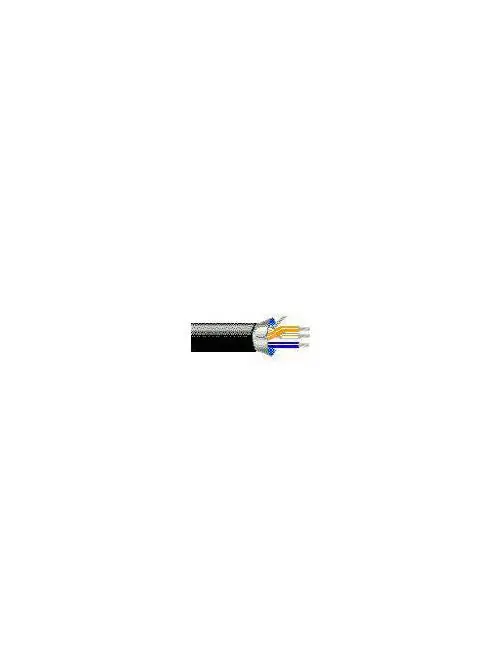 Belden 3106A RS485 (1PR) 22 AWG (7X30) TC FHDPE/PVC FOIL+TC BRAID SHLD CM PLTC
