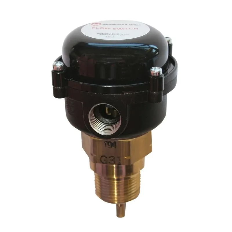 BELL & GOSSETT 120601 Flow Switch