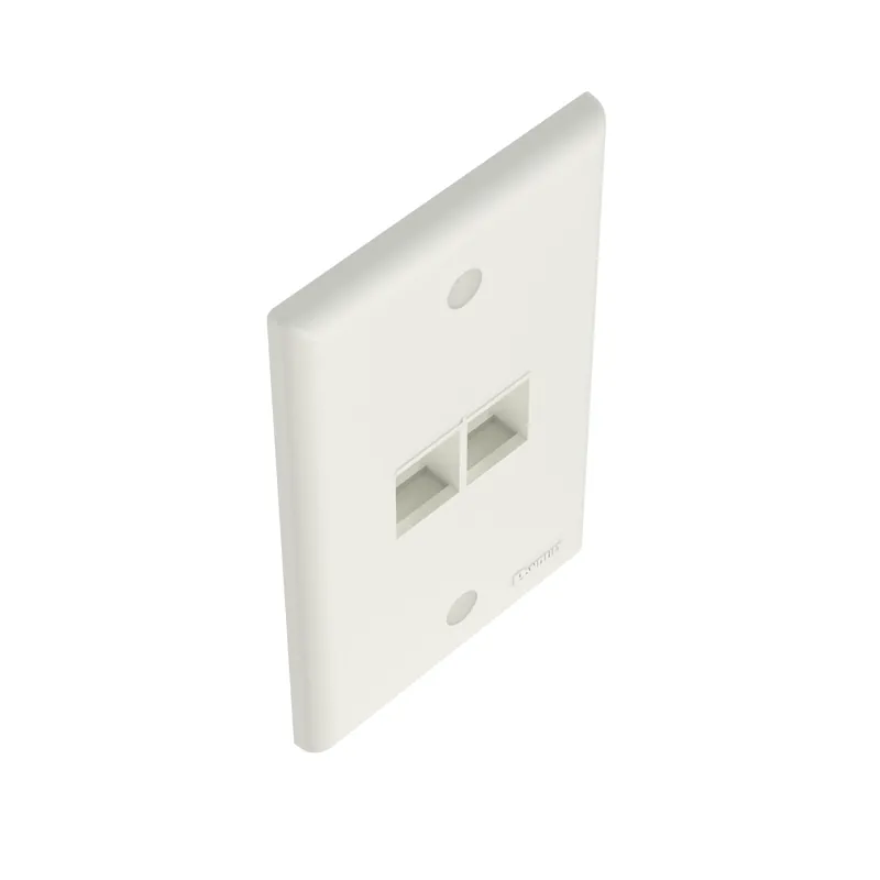 Panduit NK2FNIW NetKey 2-Port Faceplate, White