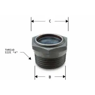 Auburn CS13581 P-1000 Observation Port / Sight Glass
