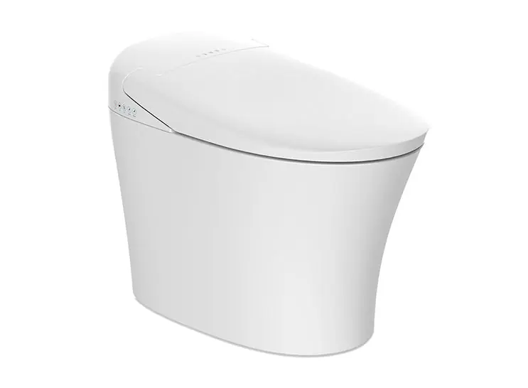 Tejjer Technology TA-858ZD Toilet GSB-01 Smart Bidet Ginger Elon Wht 1pc W/Remote