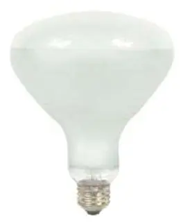 General Electric 21213(300R/FL-120) Incandescent Lamp 300W R40
