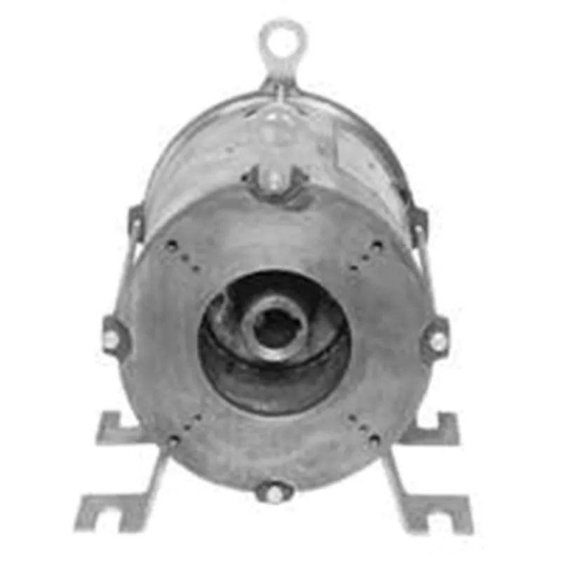 LEESON LM29659 Hydraulic Submersible Elevator Pump Motor 20 hp 200 VAC 3-Phase