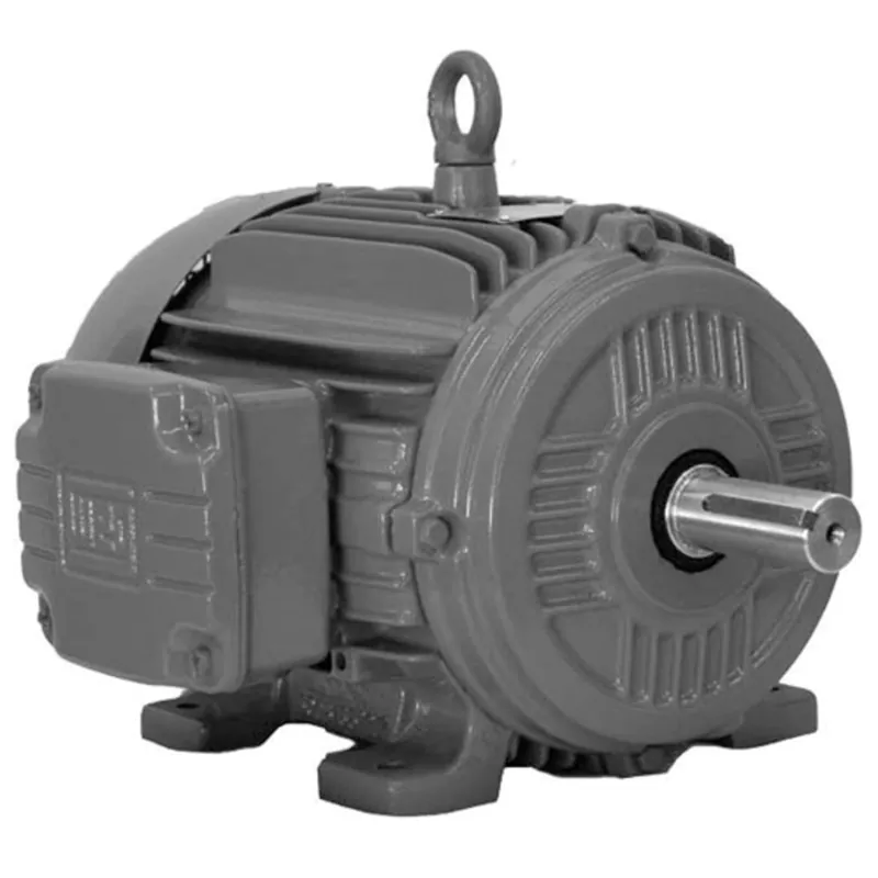 LEESON LM32807 Ultimate e LM32807 7.5 hp General Purpose AC Motor