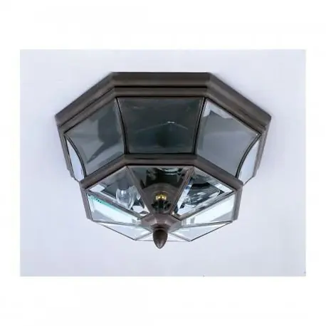 Quoizel Inc NY1794Z Outdoor Lantern, 40 W, LED Lamp