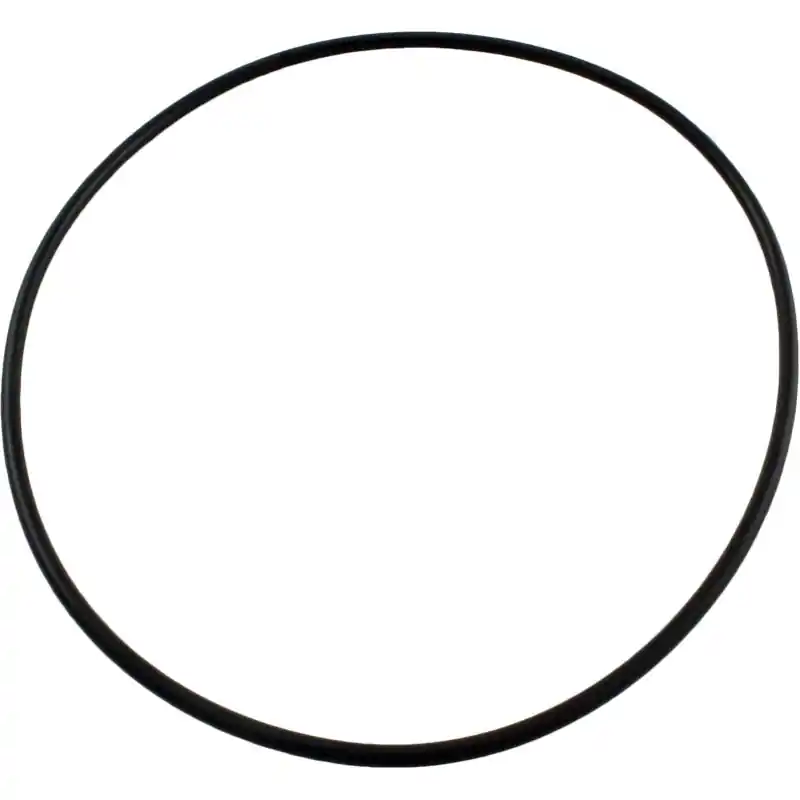 Pentair 071422Z WhisperFlo Pump Lid O-Ring