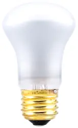 Sylvania 40R16/FL/RP-120V/14821 Ecologic 120 Volt 40 W Incandescent Lamp