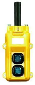 Ericson 5502-2 Pendant Pushbutton Station