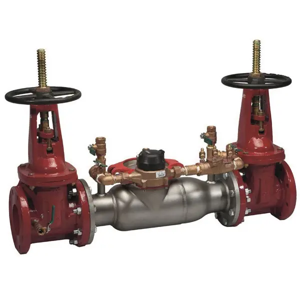 Ames Fire & Waterworks 0690503 3000SS Stainless Steel Double Check Detector Assembly with OSY Gate Valve 6 in Flanged