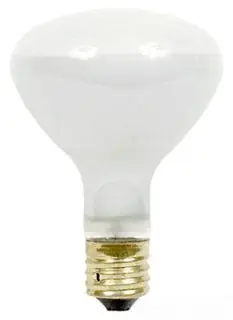 General Electric 21734(500R/3FL-120) Incandescent Lamp 500W (1 Each) Replacement MPN