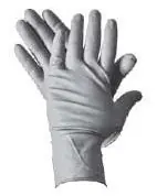 Pasco 952L Wear-A-Day Large Latex Gloves 50/Box